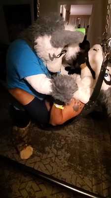 Topping in Sex Swing