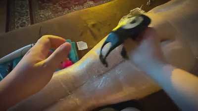 Pup seeing his teasing during whole session