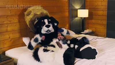 Orbit gets a handjob from Lion / Anal play & cum on suit (Locked)