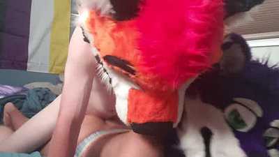 Kicker Tiger's Advance