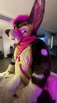 Kamira x Dog Plush Pt. 2 🧸🐶