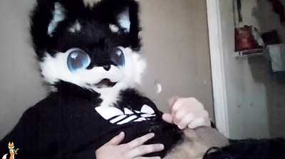 (First Evr Slutty Post) Foxxo tries out his new fursuit head | DESC