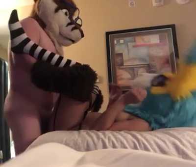 A night with Piperthebun