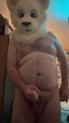 Gato cums for the camera