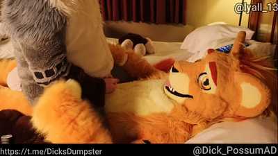 Can You Feel The Love Tonight?