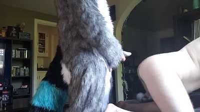 Moto breeding his pup, breaking in the new suit.
