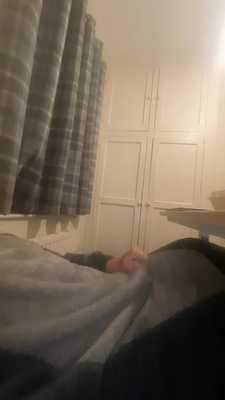 Raccoon paws at a side angle.