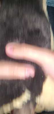 Smol male plush quickie