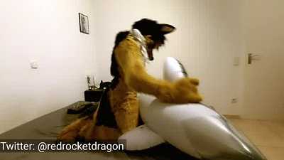 Rocksters new dolphin pool toy