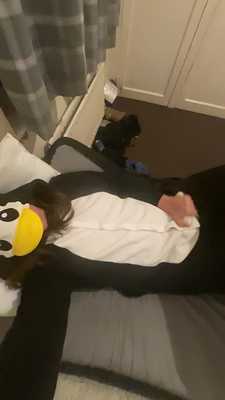 Overhead view of a penguin pawing off.