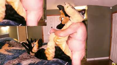 Rhems breeds his Sheppy