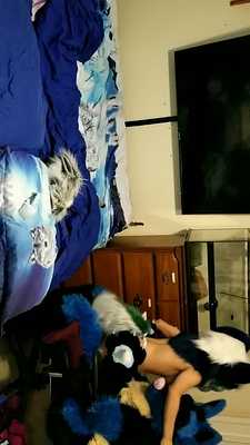 Sucario the Husky X Piper The Bun Breeding