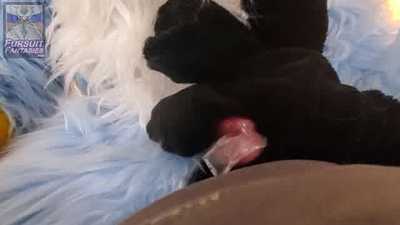 Cock Teaser - Bunny and Fox frot their knots