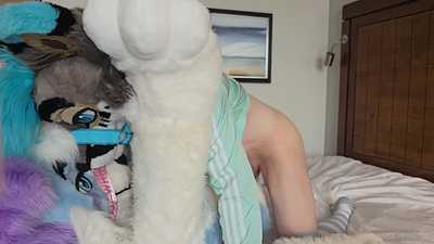 Getting bred by a fox