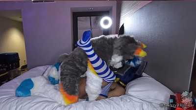 Husky Leashes An Obedient Pup