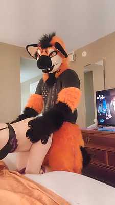 My petite lady friend fucked from behind