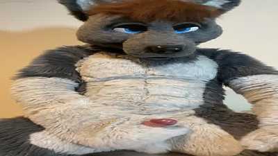 Disty Wolf gets off POV shot.