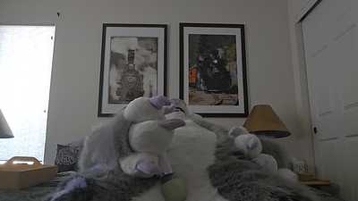 Lonely snep Christensen his fursuit