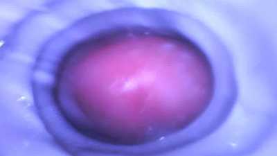 Filling up my Velox the Good Boy toy - Inside View