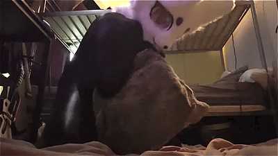 Pathetic puppy humping his body pillow in bitchsuit