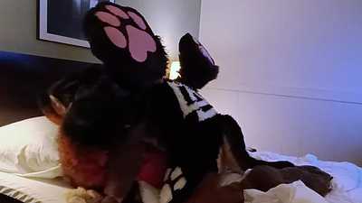 Fox and a hound part 3