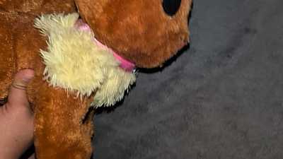 Another Eevee quicky