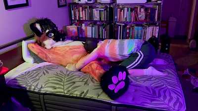 Pup cums on big gnoll’s bloated gut