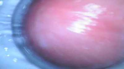 Another day, another toy filled - inside view 