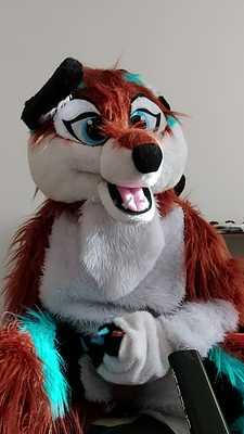 Fox pleasuring itself