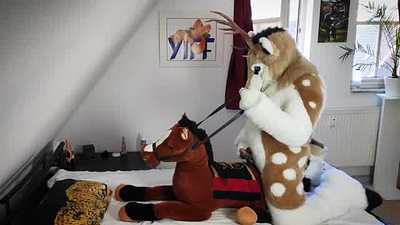 Marking a plush mare