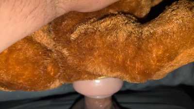 Eevee used pound and it's super effective 