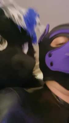 Putting him in his place