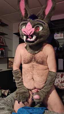 A bat's love of balls