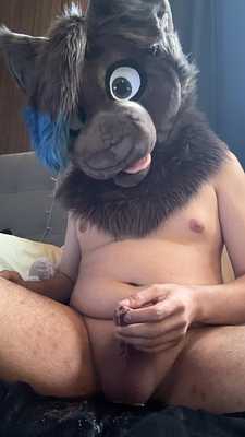 Kitty pisses the bed again!