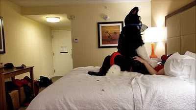 Pup Draygo x Snack-Pack Husky