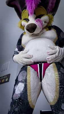 Chubby puppy shows off soft belly