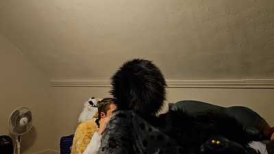 A hungry fen eats a yeen's ass and breeds him