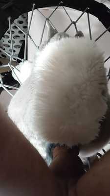 Under view of a bound plushie