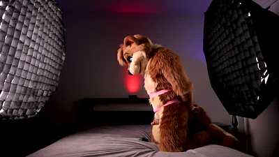 Vibrating HARD