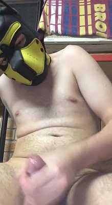 one horny pup