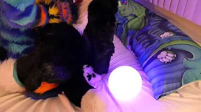 Heavy Petting with Breezy