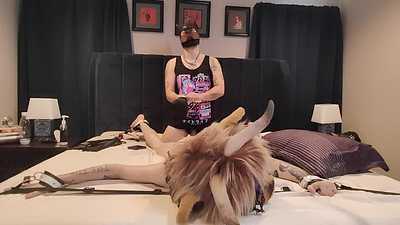 Fursuit Tickling (Part 2)