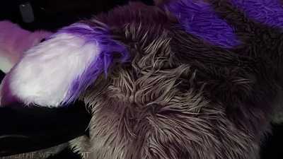 Fursuit Fisting @ PoP#1