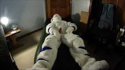 StuntTiger on an inflatable bed