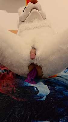 First video of Despo 🐺