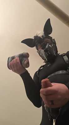 Jackson the pup knoting his new horse fleshlight