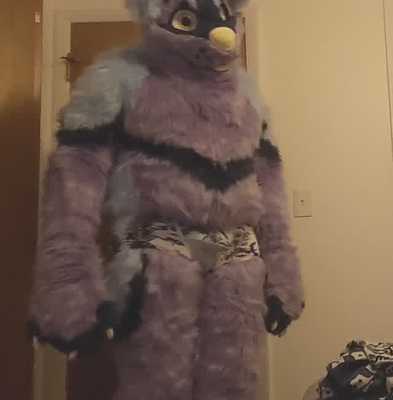 Husky showing off his new underwear
