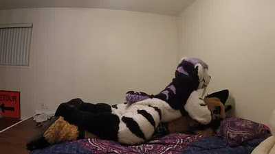 Blackberry Saber breeding DewClaw