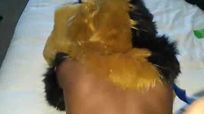 Bare Back Rabbit