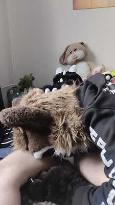 Rocket delighted a Dragon